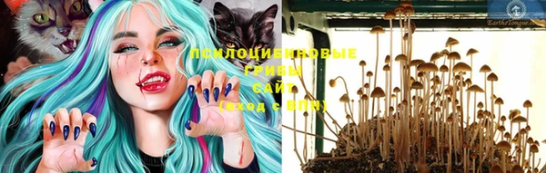 кокаин премиум Белокуриха
